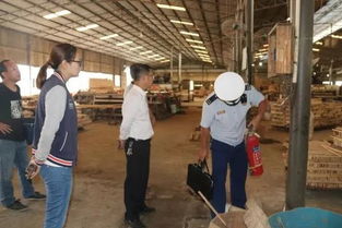 百色西林 多部門聯合深入鄉鎮木材加工廠開展消防安全檢查