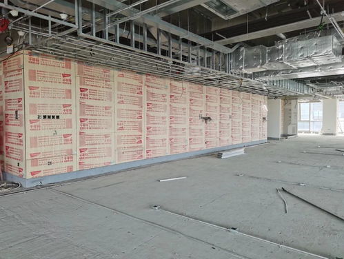 千年舟 綠色工程行 走進北京京東集團總部項目現場